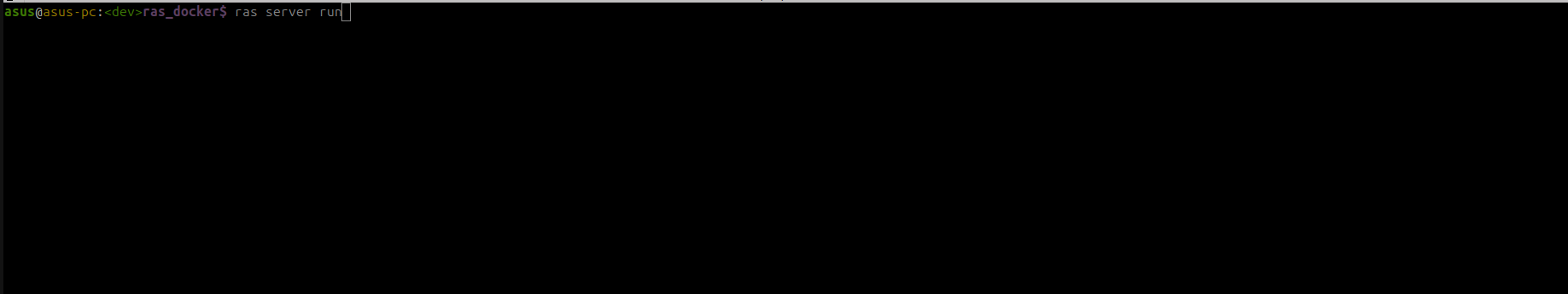 ras server Run